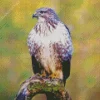 Common Buzzard Bird Diamond Painting