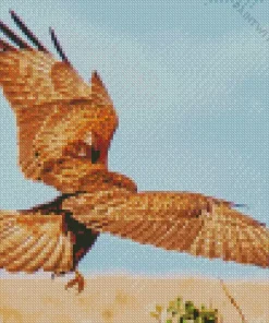 Common Buzzard Flapping Wings Diamond Painting
