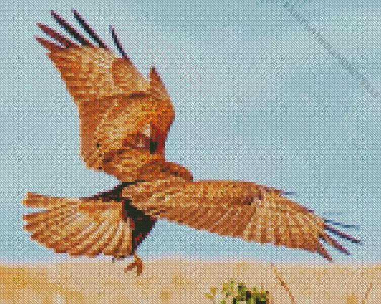 Common Buzzard flapping wings Diamond Dotz Common Buzzard Flapping Wings Diamond Painting