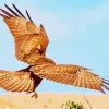 Common Buzzard Flapping Wings Diamond Painting