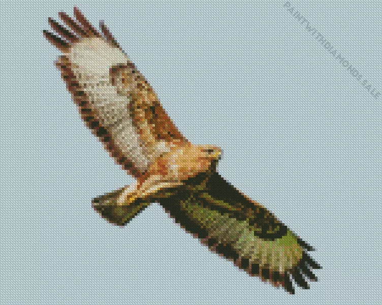 Common Buzzard flying art Diamond Dotz Common Buzzard Flying Art Diamond Painting