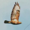 Common Buzzard Flying Bird Diamond Painting