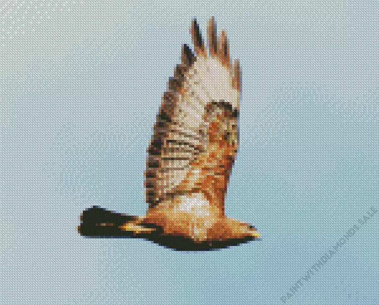 Common Buzzard flying bird Diamond Dotz Common Buzzard Flying Bird Diamond Painting