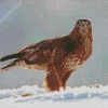 Common Buzzard In Snow Diamond Painting