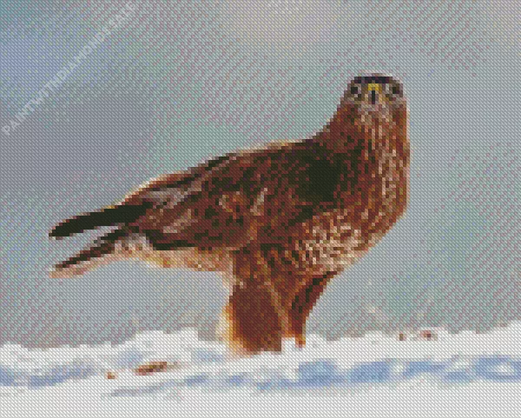 Common Buzzard in snow Diamond Dotz Common Buzzard In Snow Diamond Painting