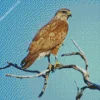 Common Buzzard On A Branch Diamond Painting