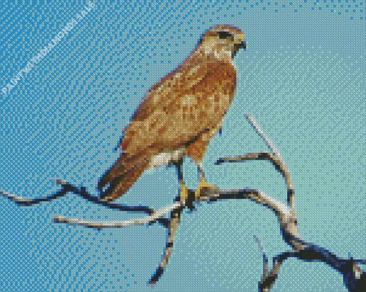 Common Buzzard on a branch Diamond Dotz Common Buzzard On A Branch Diamond Painting