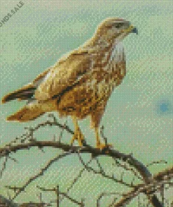 Common Buzzard On Branches Diamond Painting