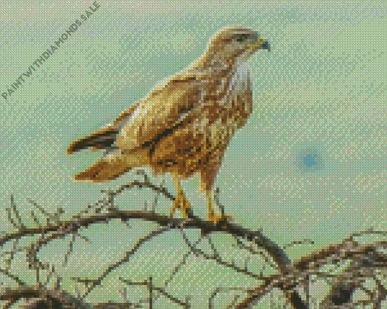 Common Buzzard on branches Diamond Dotz Common Buzzard On Branches Diamond Painting