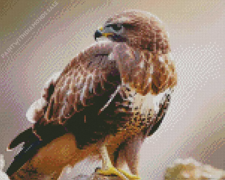 Common Buzzard side profile Diamond Dotz Common Buzzard Side Profile Diamond Painting