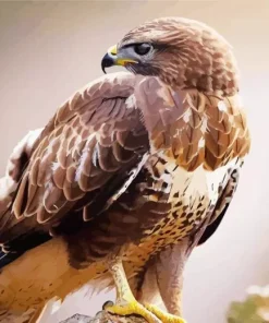 Common Buzzard Side Profile Diamond Painting
