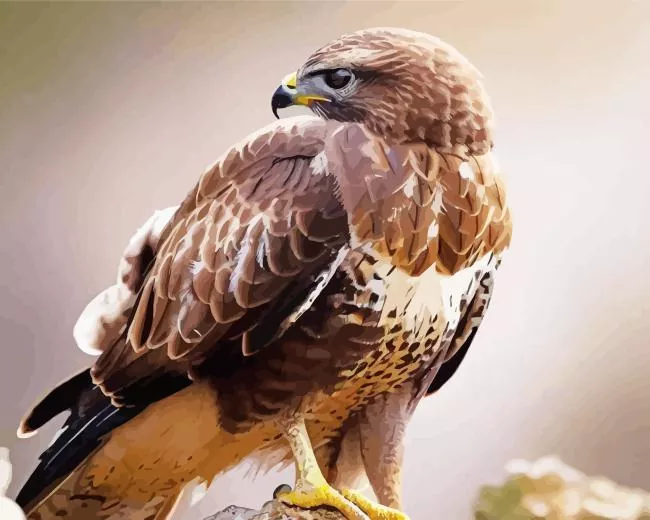 Common Buzzard side profile Diamond With Numbers Common Buzzard Side Profile Diamond Painting