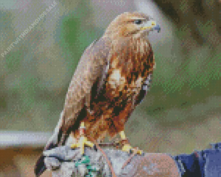 Common buzzard bird artDiamond Dotz Common Buzzard Bird Art Diamond Painting