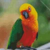 Conure Bird With Green Wings Diamond Painting