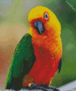 Conure Bird With Green Wings Diamond Painting