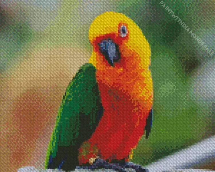 Conure Bird with green wings Diamond By Numbers Conure Bird With Green Wings Diamond Painting