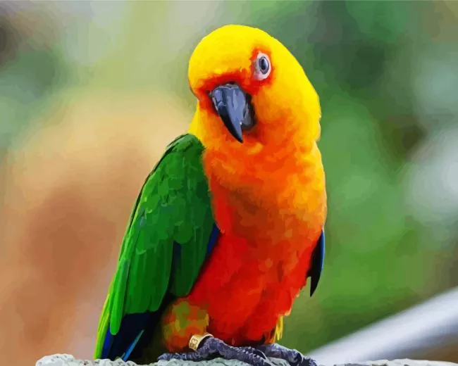 Conure Bird with green wings Diamond Paints Conure Bird With Green Wings Diamond Painting