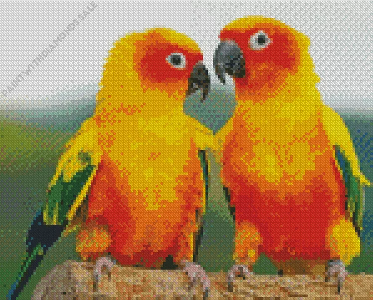 Conure Birds Diamond By Numbers