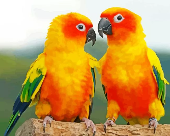 Conure Birds Diamond Paints Conure Birds Diamond Painting