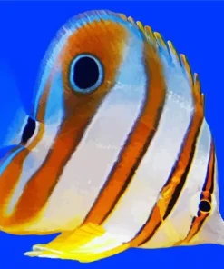 Copper Banded Butterfly Diamond Painting