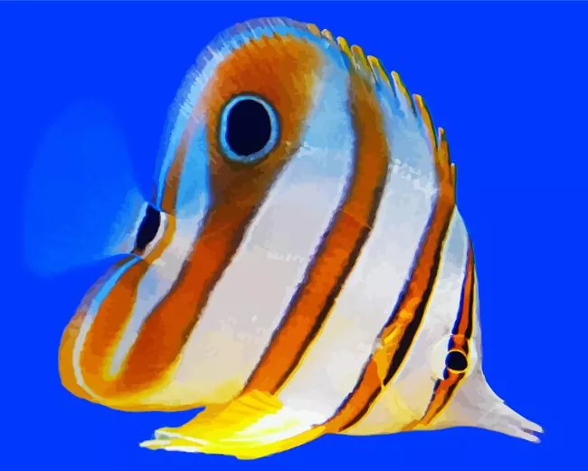 Copperbanded Butterfly Diamond Paints Copper Banded Butterfly Diamond Painting