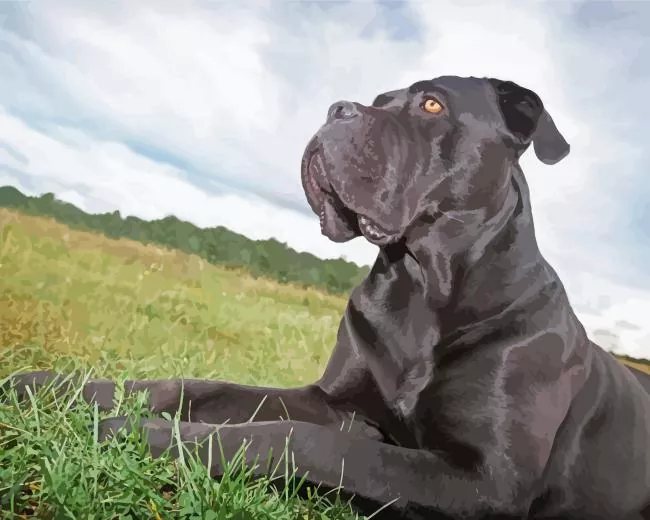 Dark Cane Corso in Grass Diamond Paintings Dark Cane Corso In Grass Diamond Painting