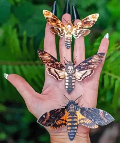 Deaths Head Hawkmoths On Hand Diamond Painting