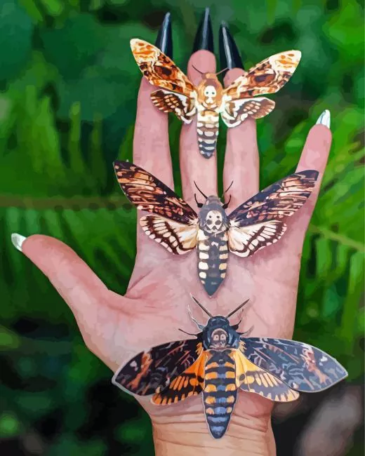 Deaths head hawkmoths on hand Diamond Paints Deaths Head Hawkmoths On Hand Diamond Painting