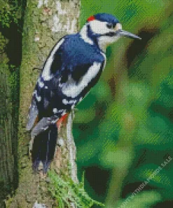 Dendrocopos Diamond Painting