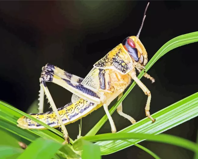 Desert locust Diamond Paints Desert Locust Diamond Painting