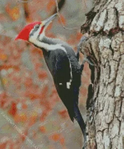 Dryocopus Diamond Painting
