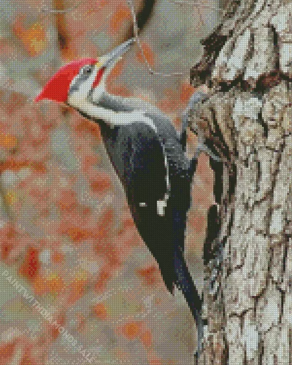 Dryocopus Diamond By Numbers Dryocopus Diamond Painting