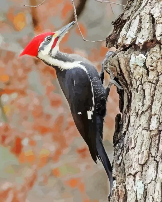 Dryocopus Diamond Paints Dryocopus Diamond Painting