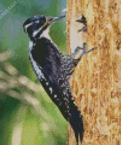 Eurasian Three Toed Woodpecker Diamond Painting