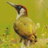 European Green Woodpecker Diamond Painting