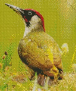 European Green Woodpecker Diamond Painting