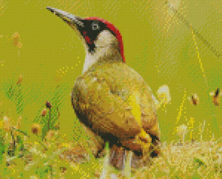 European green woodpecker Diamond By Numbers European Green Woodpecker Diamond Painting