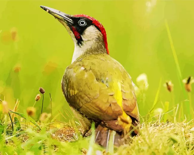 European green woodpecker Diamond Paints European Green Woodpecker Diamond Painting