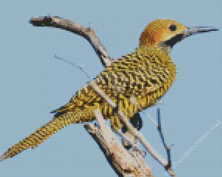 Fernandinas flicker Diamond Dotz Fernandinas Flicker Diamond Painting