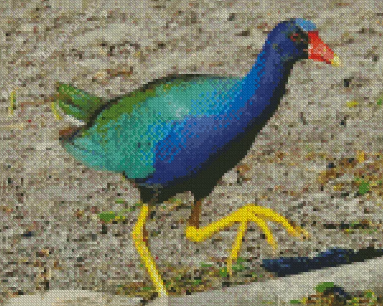 Gallinule Purple JG Diamond Dotz Gallinule Purple JG Diamond Painting