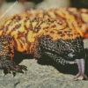 Gila Monster Close Up Diamond Painting