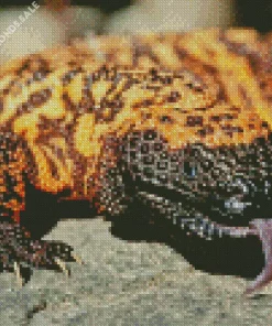 Gila Monster Close Up Diamond Painting