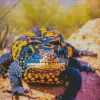 Gila Monster On A Rock Diamond Painting