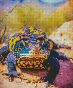 Gila Monster On A Rock Diamond Painting