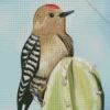 Gila Woodpecker Diamond Painting