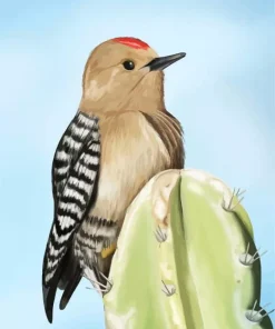 Gila Woodpecker Diamond Painting