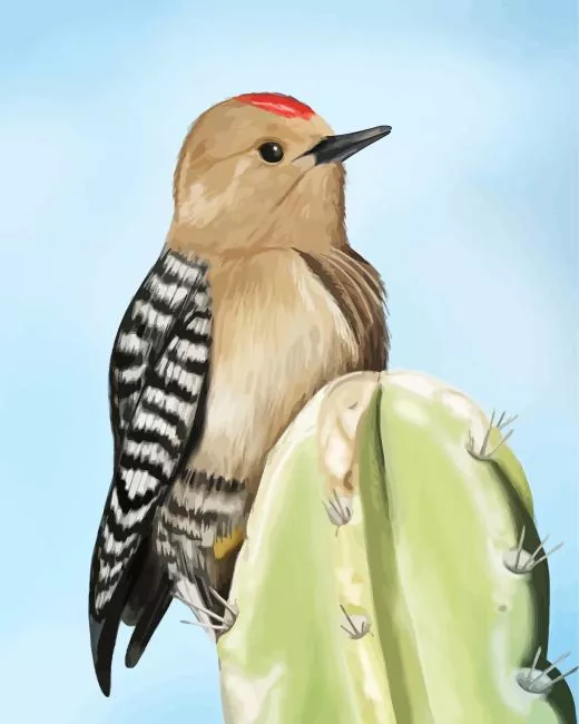 Gila woodpecker Diamond Paints Gila Woodpecker Diamond Painting