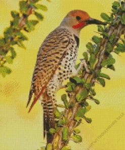 Gilded Flicker Diamond Painting