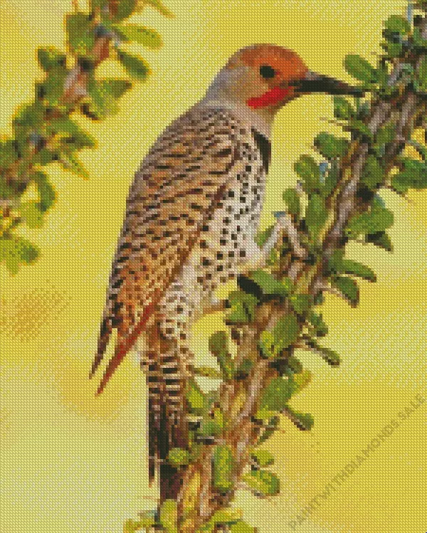 Gilded flicker Diamond By Numbers Gilded Flicker Diamond Painting