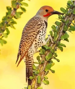 Gilded Flicker Diamond Painting